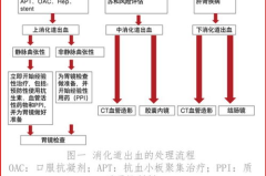 消化道出血鉴别诊断,消化道出血鉴别诊断要点与临床应用